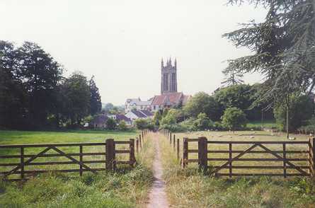 Cattistock Church