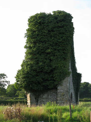 North Wootton Church