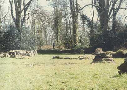 Bindon Abbey ruins, nave